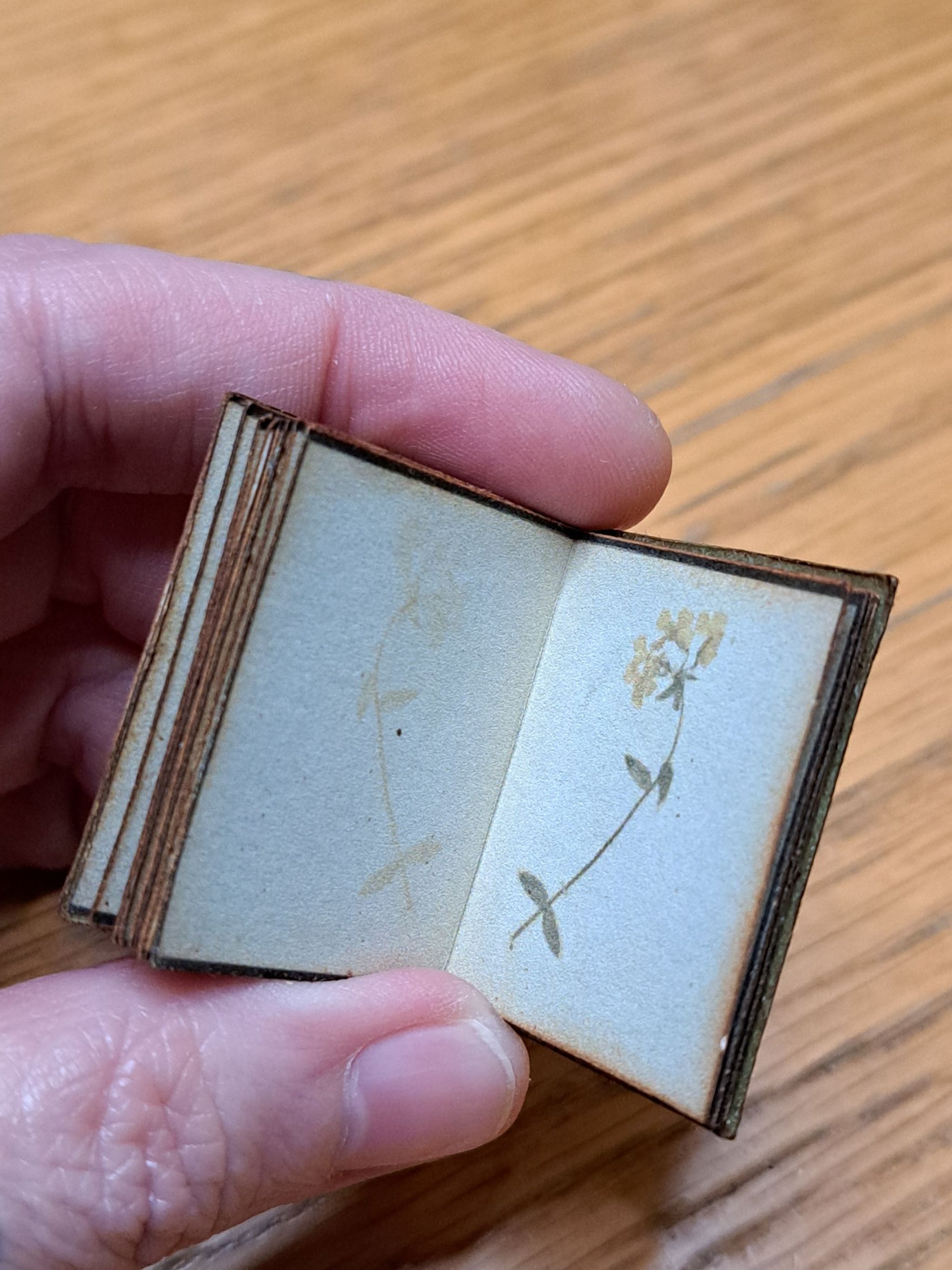 Recreating 16-year-old Clara Davis' 1897 Student Herbarium in Miniature