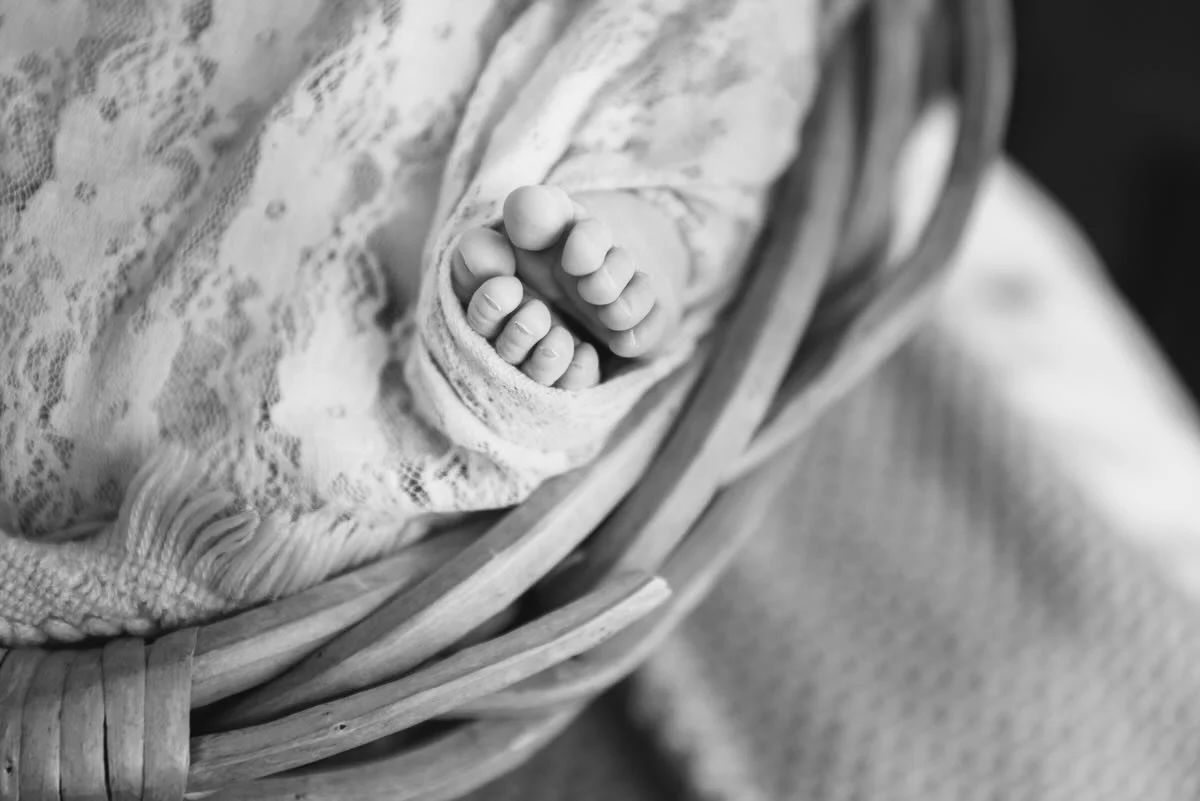 Those cute little newborn tootsies! 👣 So delicious! 

#babyfeet👣 #babytootsies #newbornphotography