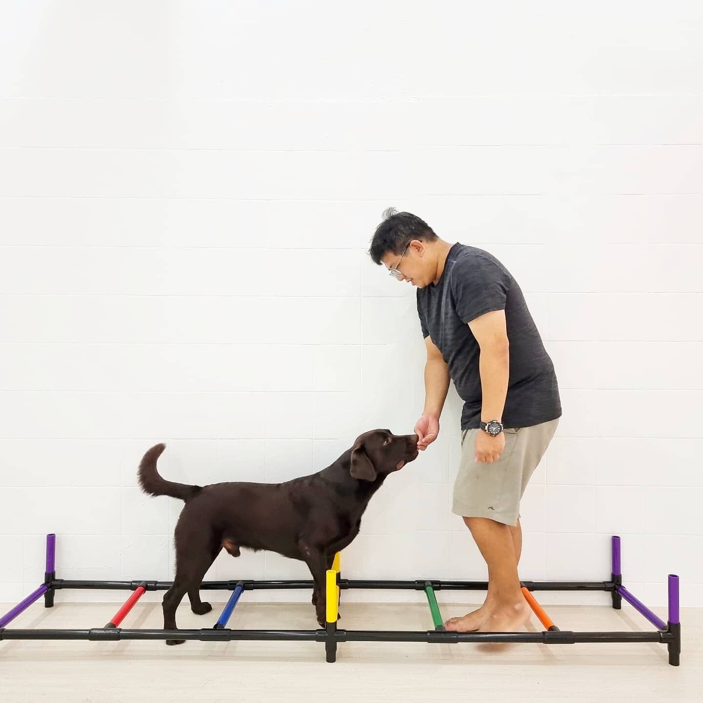 Learning never ends 😌

Thanks Ralph from @fidospawpose for imparting your knowledge and skills so that our pups will have a greater experience during fitness class! Learning is always fun when you have an awesome teacher 💛 

&amp; thanks model pinn