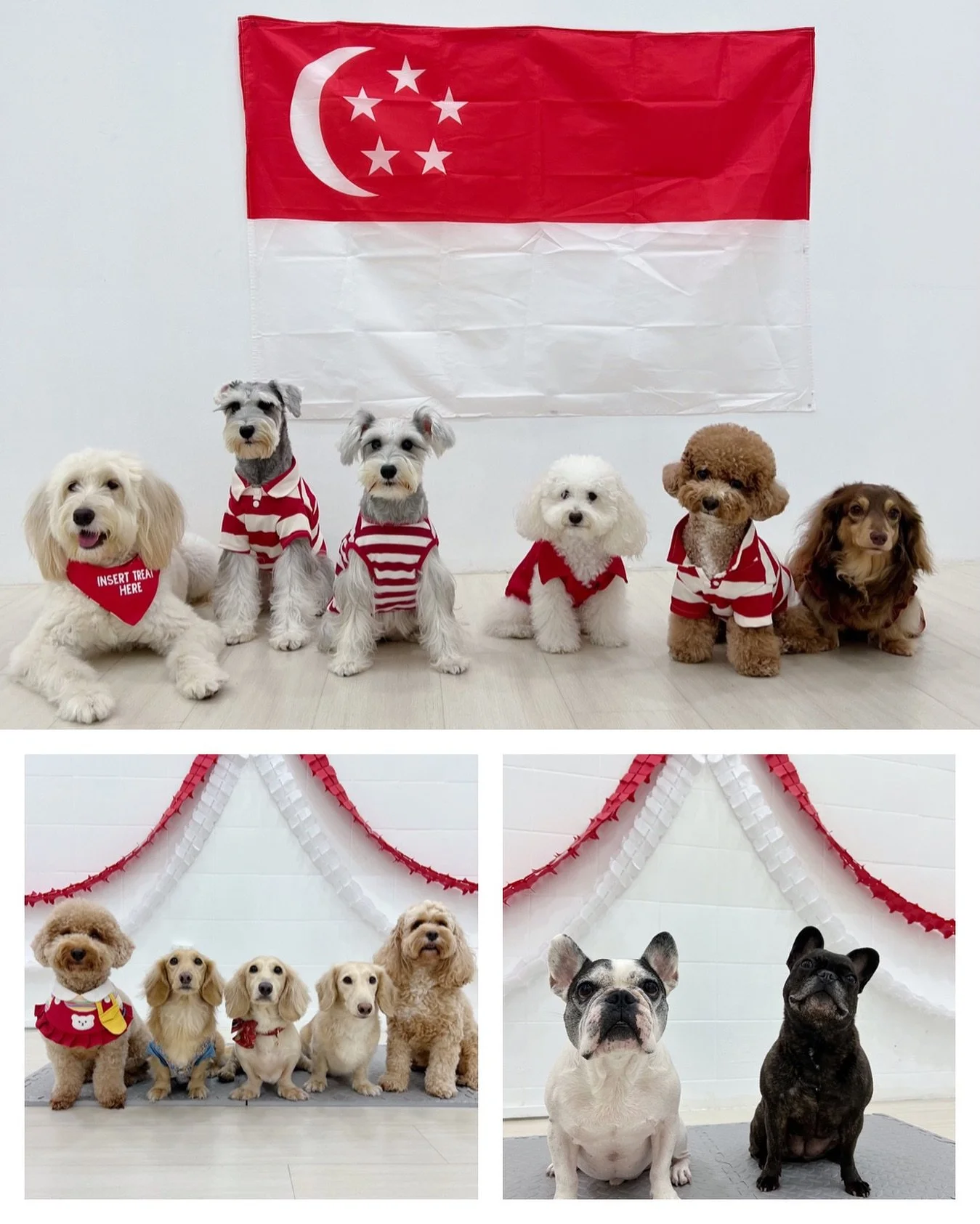 United we bork 🫡 

Happy 60th Birthday, Singapore ❤️🤍