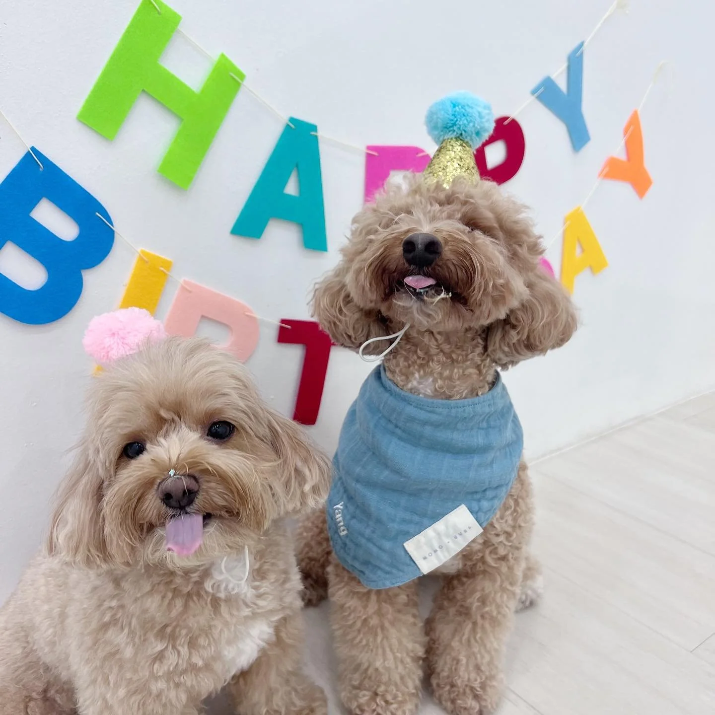 happy happy birthday to the sweetie cousins 😙💛