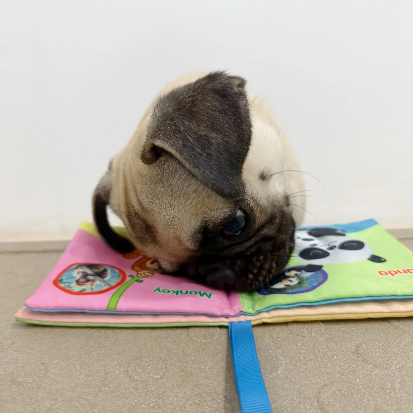 Preparing for mid-terms 🤓📖