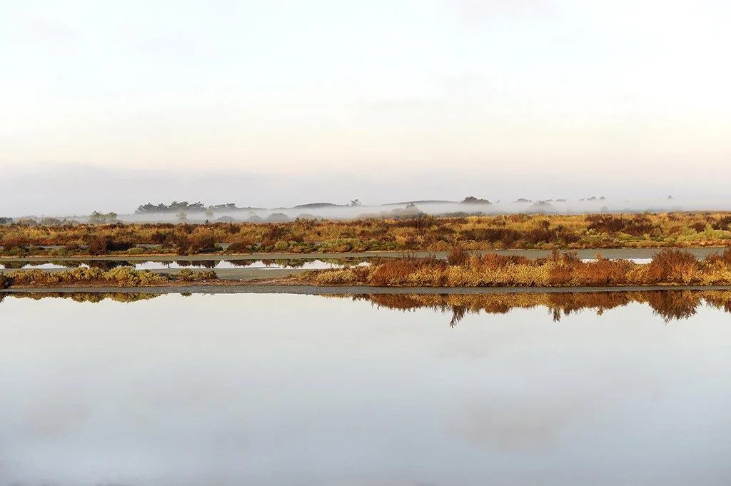 Ile de Ré - 2703.jpg