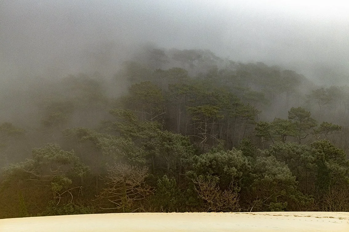 Dune du Pyla - 4904.jpg