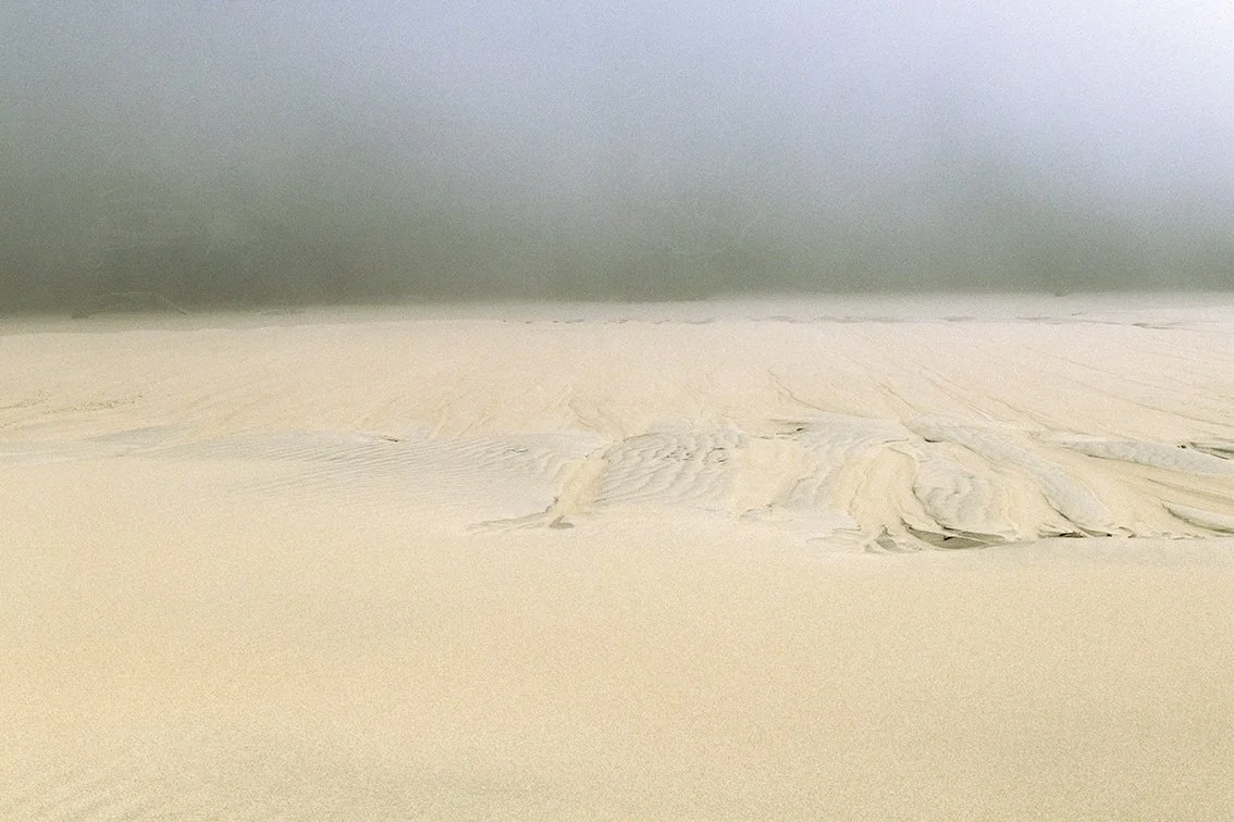 Dune du Pyla - 4874.jpg