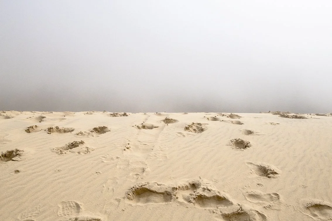 Dune du Pyla - 4870.jpg