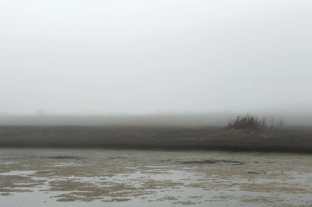 Ile de Ré - 5177.jpg