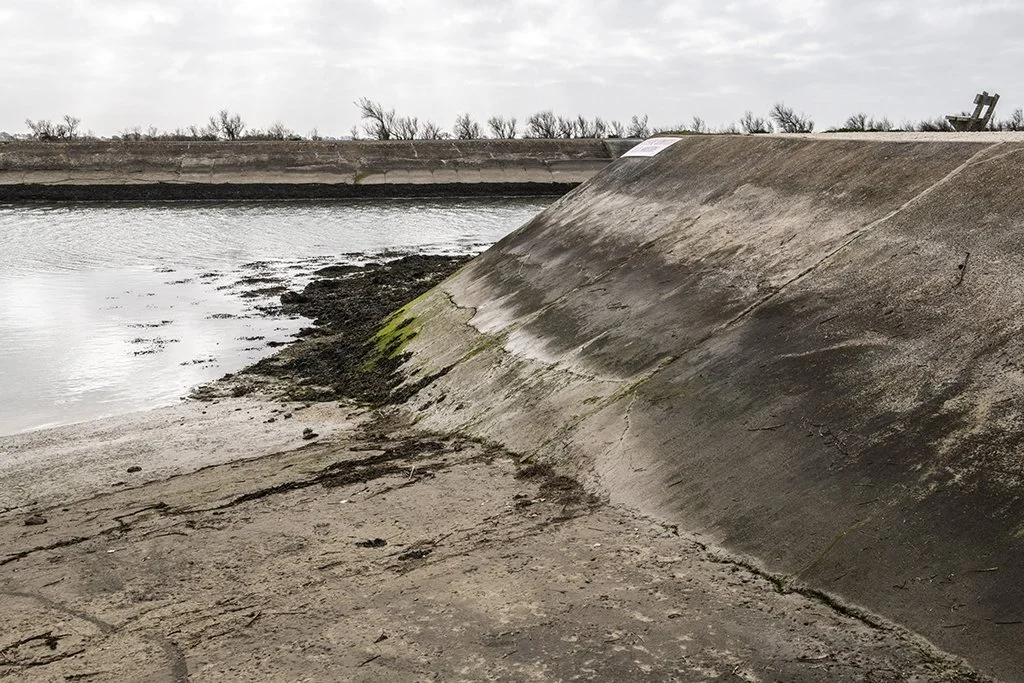 Ile de Ré - 0934.jpg