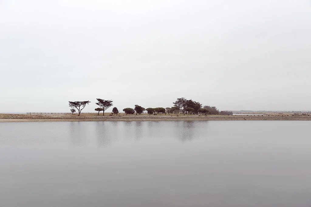 Image en vente direct a la boutique