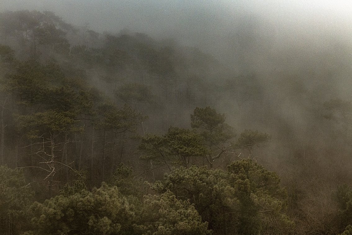 Dune du Pyla - 4906.jpg