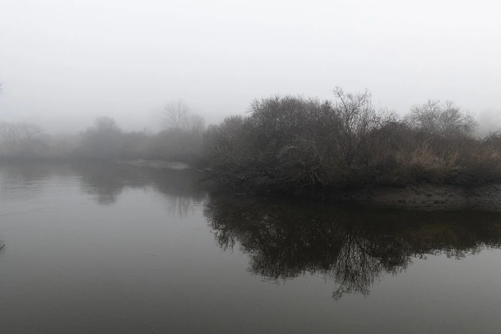 Bassin d'Arcachon - 4266.jpg