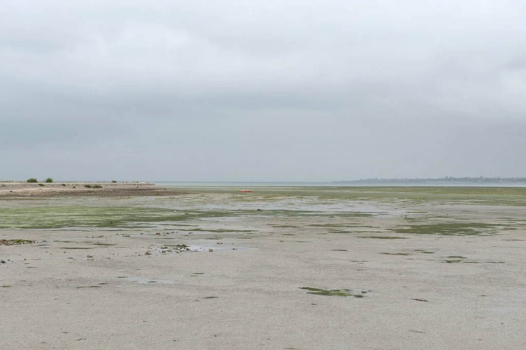 Ile de Ré - 5255.jpg