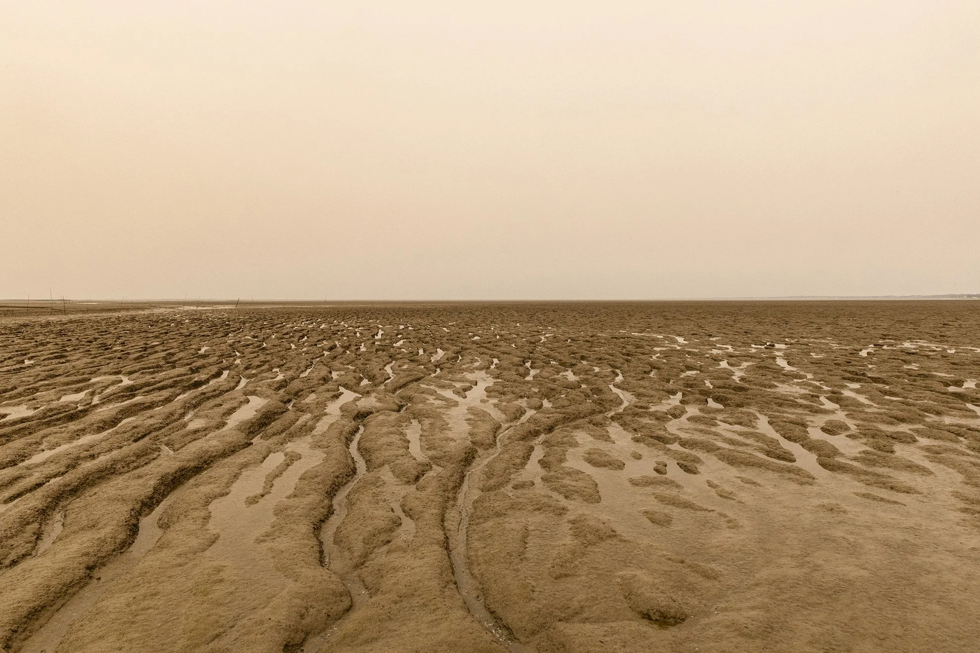 Port du Collet - 7034.jpg