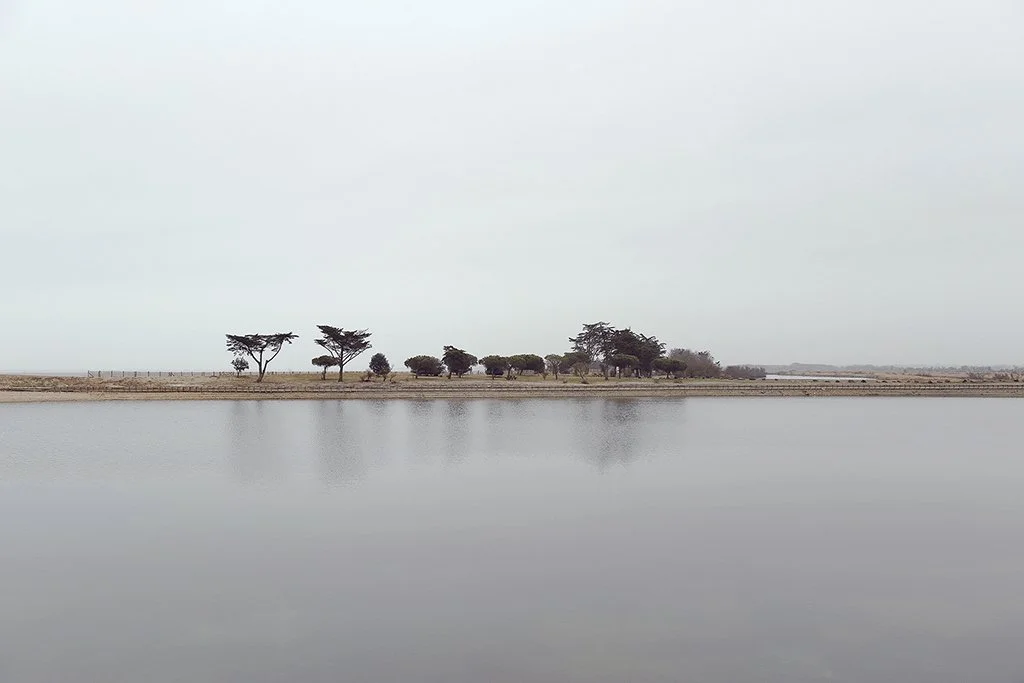 Ile de Ré - 8121.jpg