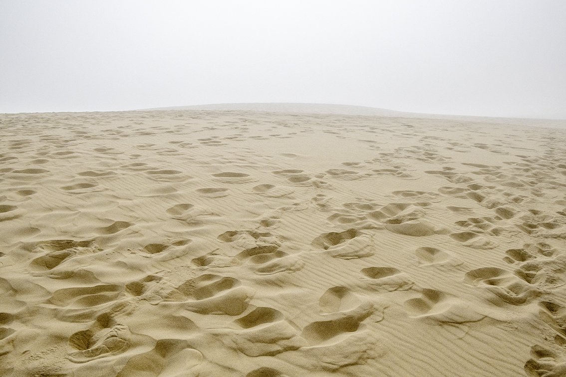Dune du Pyla - 4866.jpg