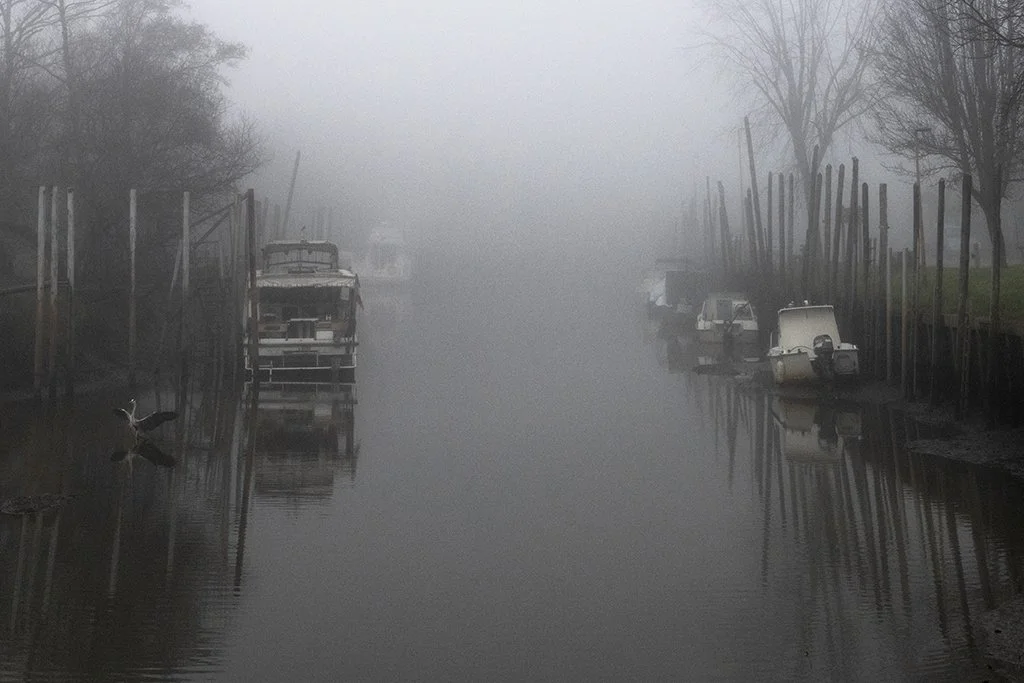 Bassin d'Arcachon - 4229.jpg