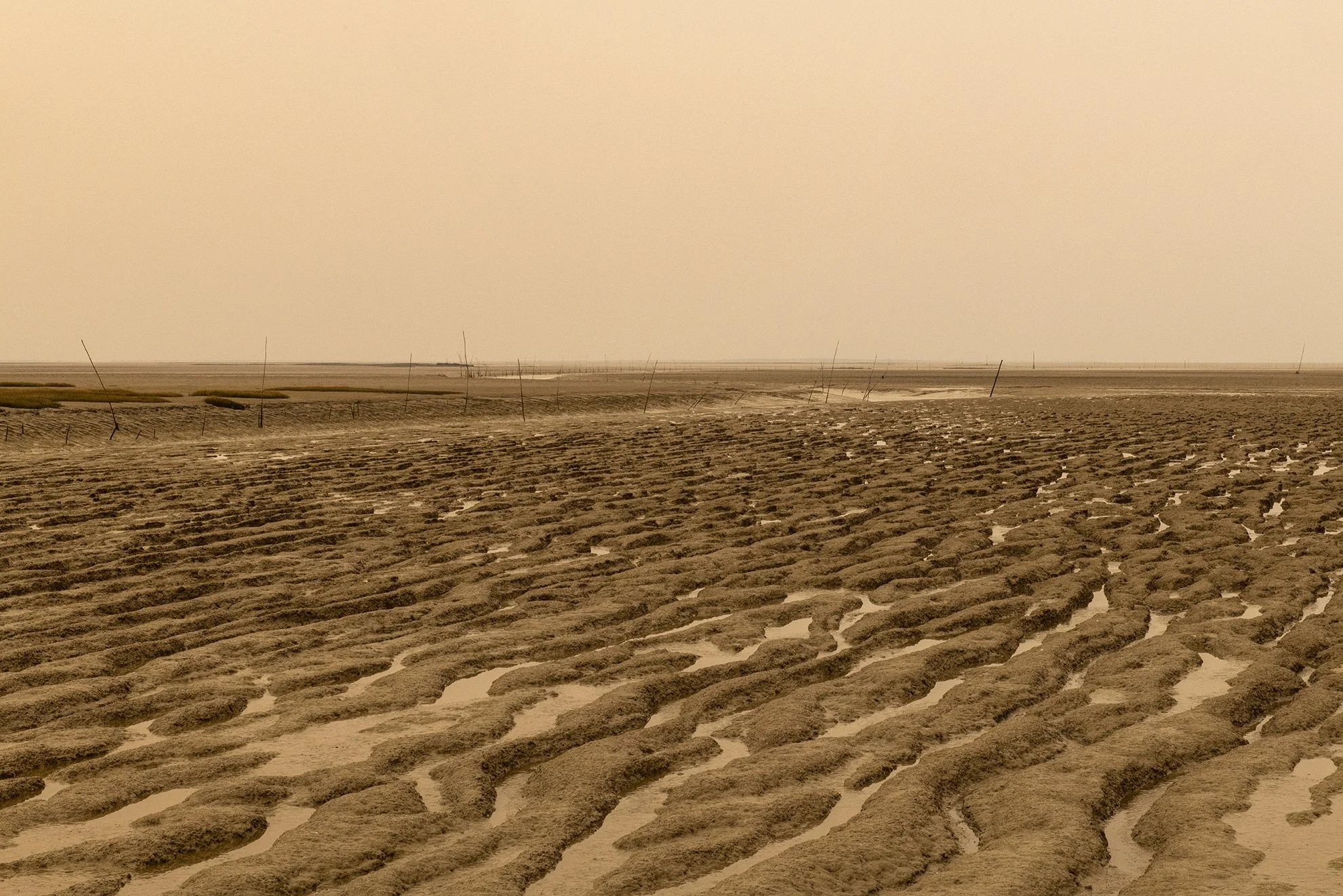 Port du Collet - 7030.jpg