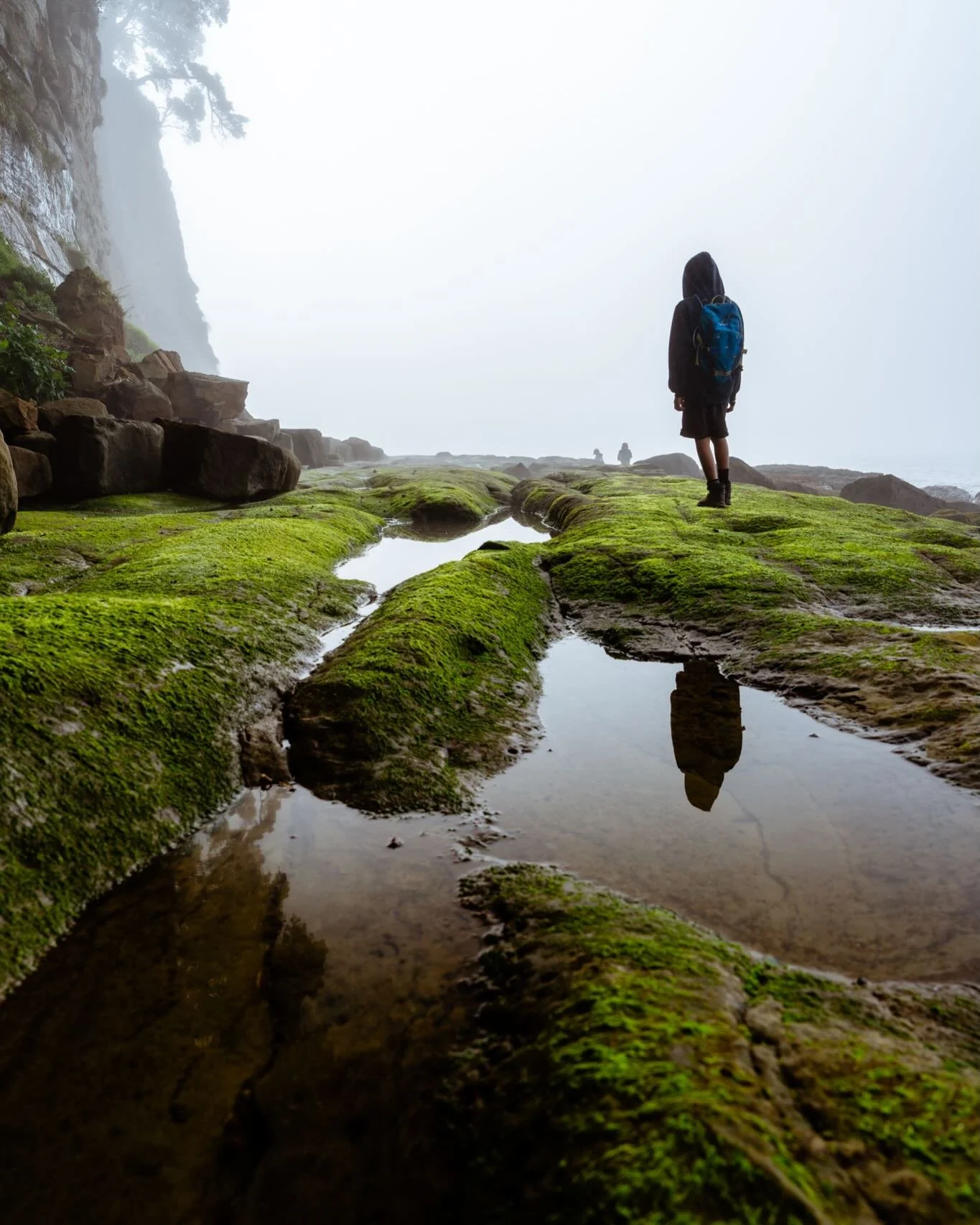 Fog creates ambiguity, and ambiguity invites projection. When you can&rsquo;t see clearly, your mind fills the gaps.
#sonyalpha #purenewzealand