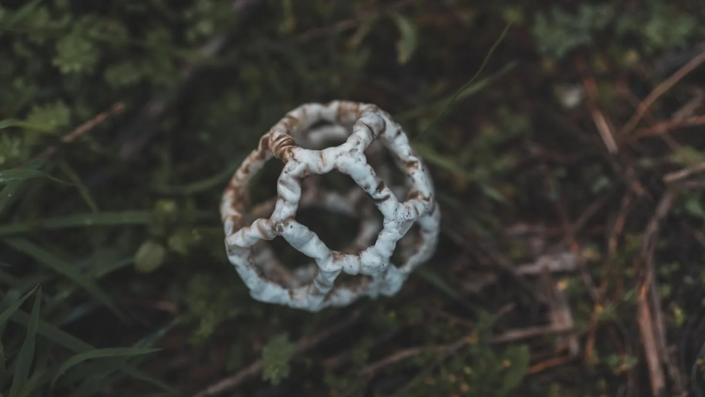 &ldquo;House of the spirits&rdquo; 

Whareatua in Māori language, is also known as the White Basket Fungus (ileodictyon cibarium). Finding these fungi was sometimes interpreted as a sign that a spirit is nearby passing through the physical world. 

#
