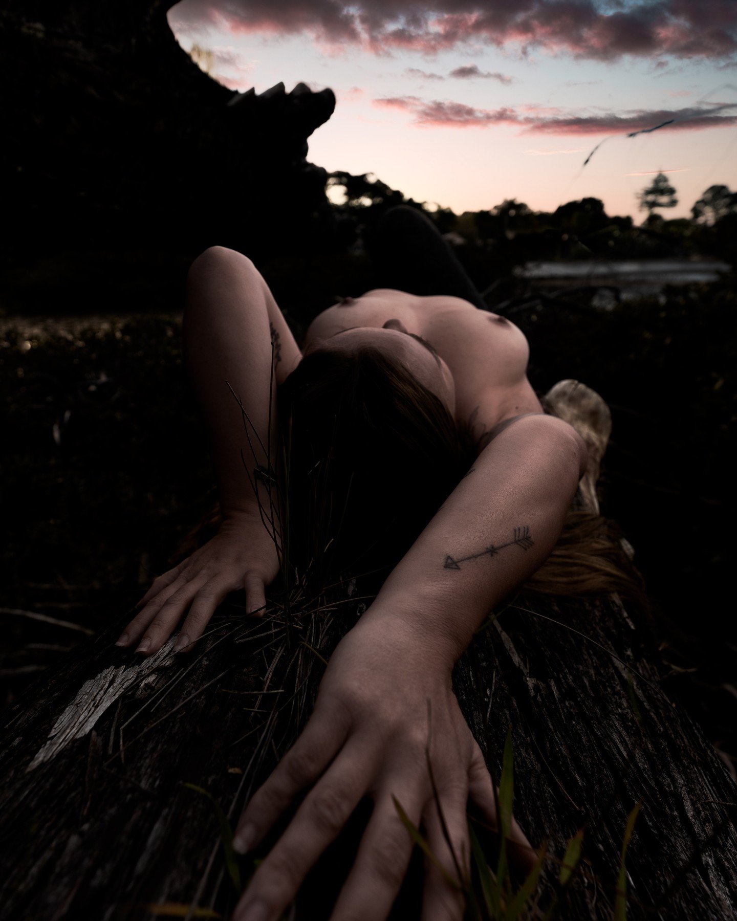 Sunsets in the wild

#newzealand #photography #model  #photographer
