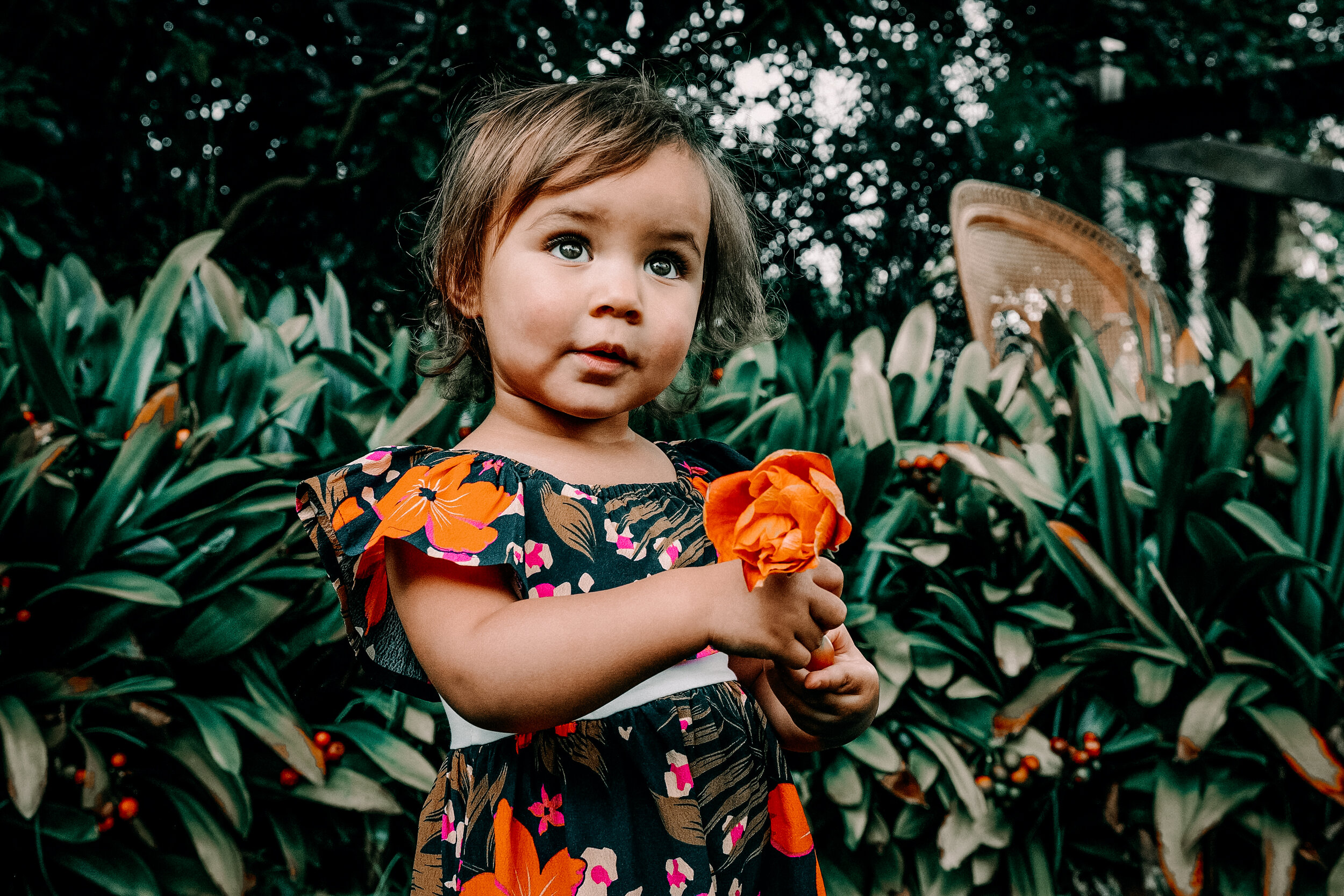 VV-Mamas&Papas Kid.jpg