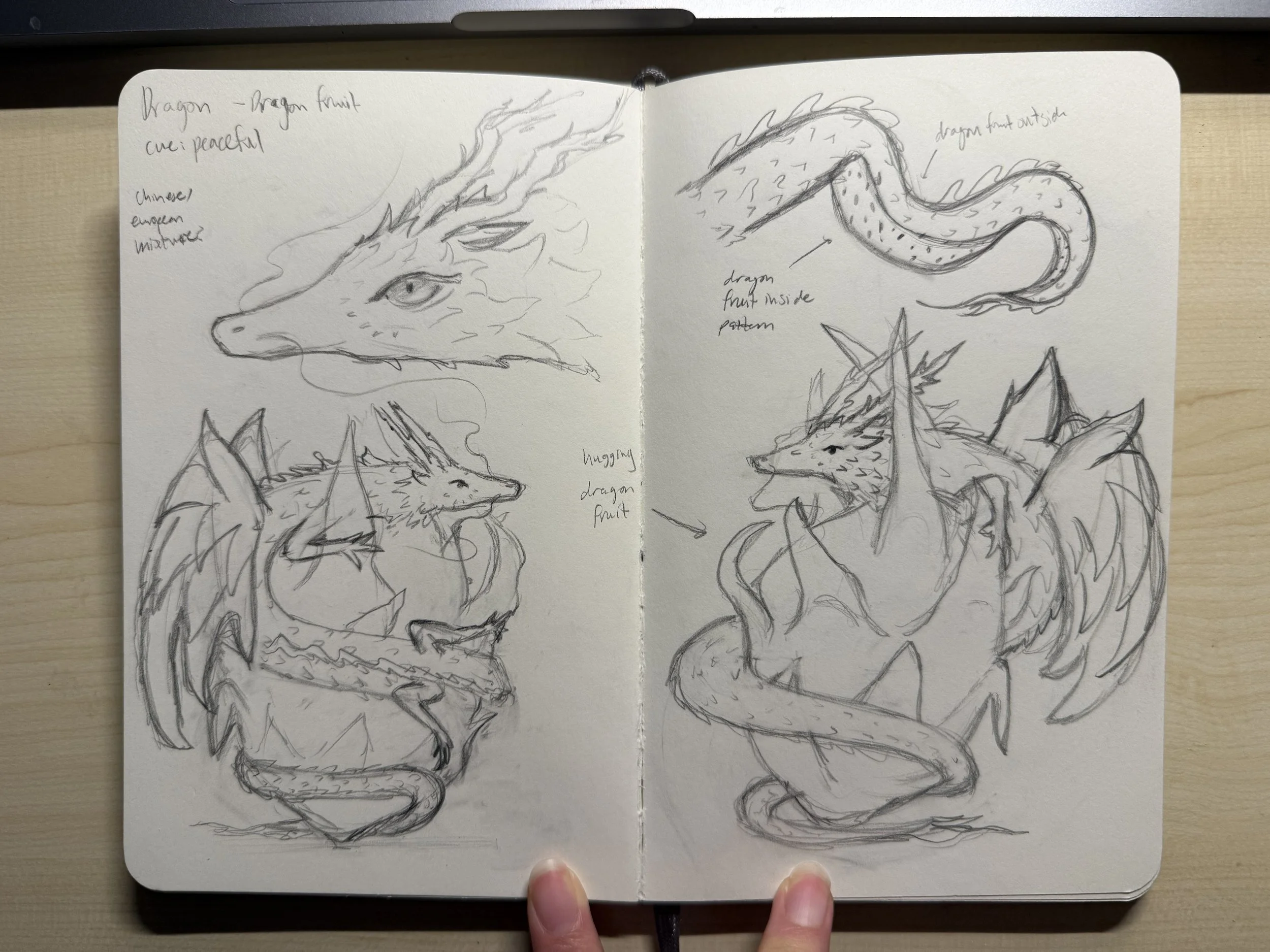 LarissaH_DragonSketch1 copy.jpeg