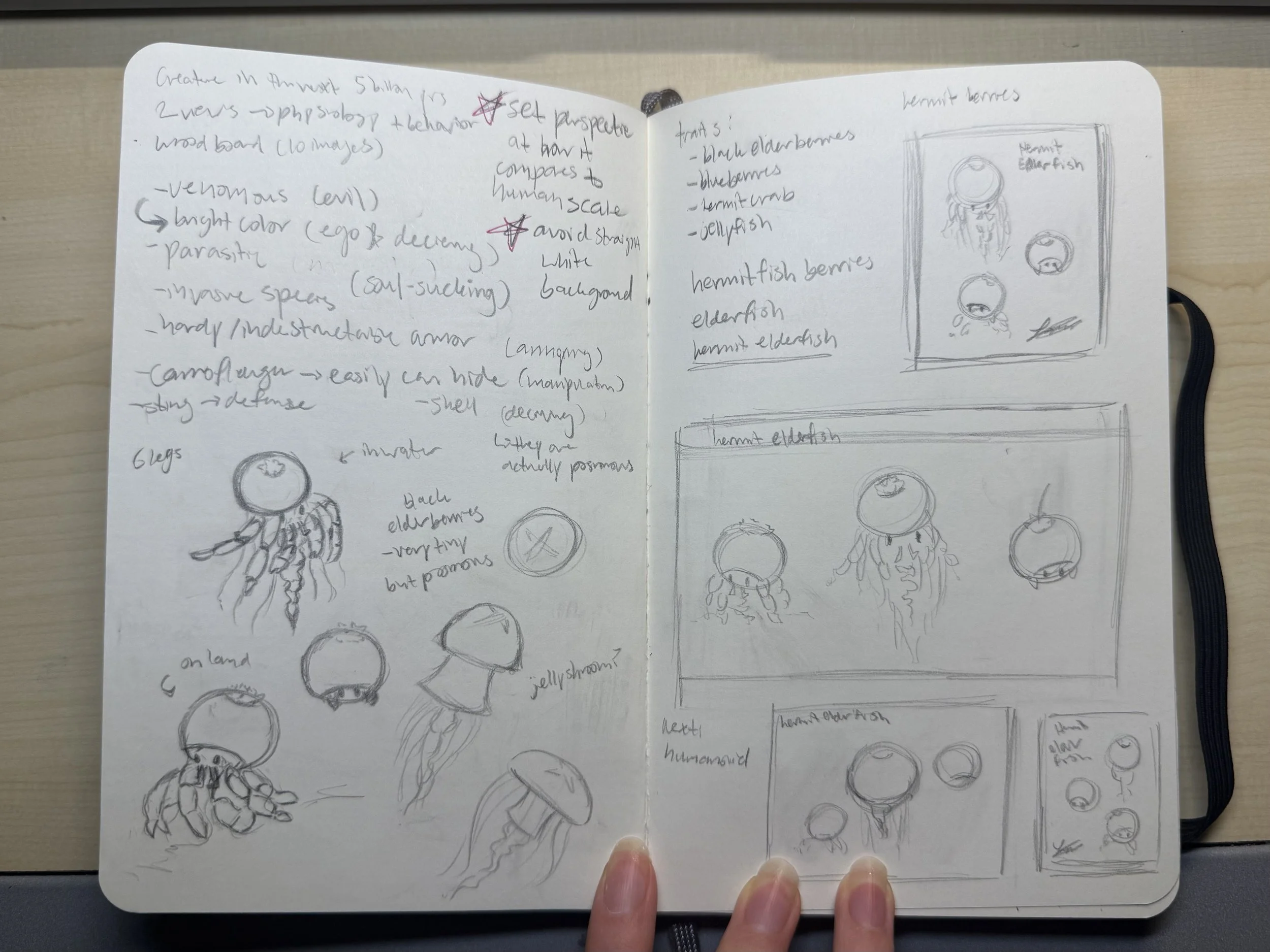 Larissa Hom_The Next Five Billion Years_Sketch copy.jpg