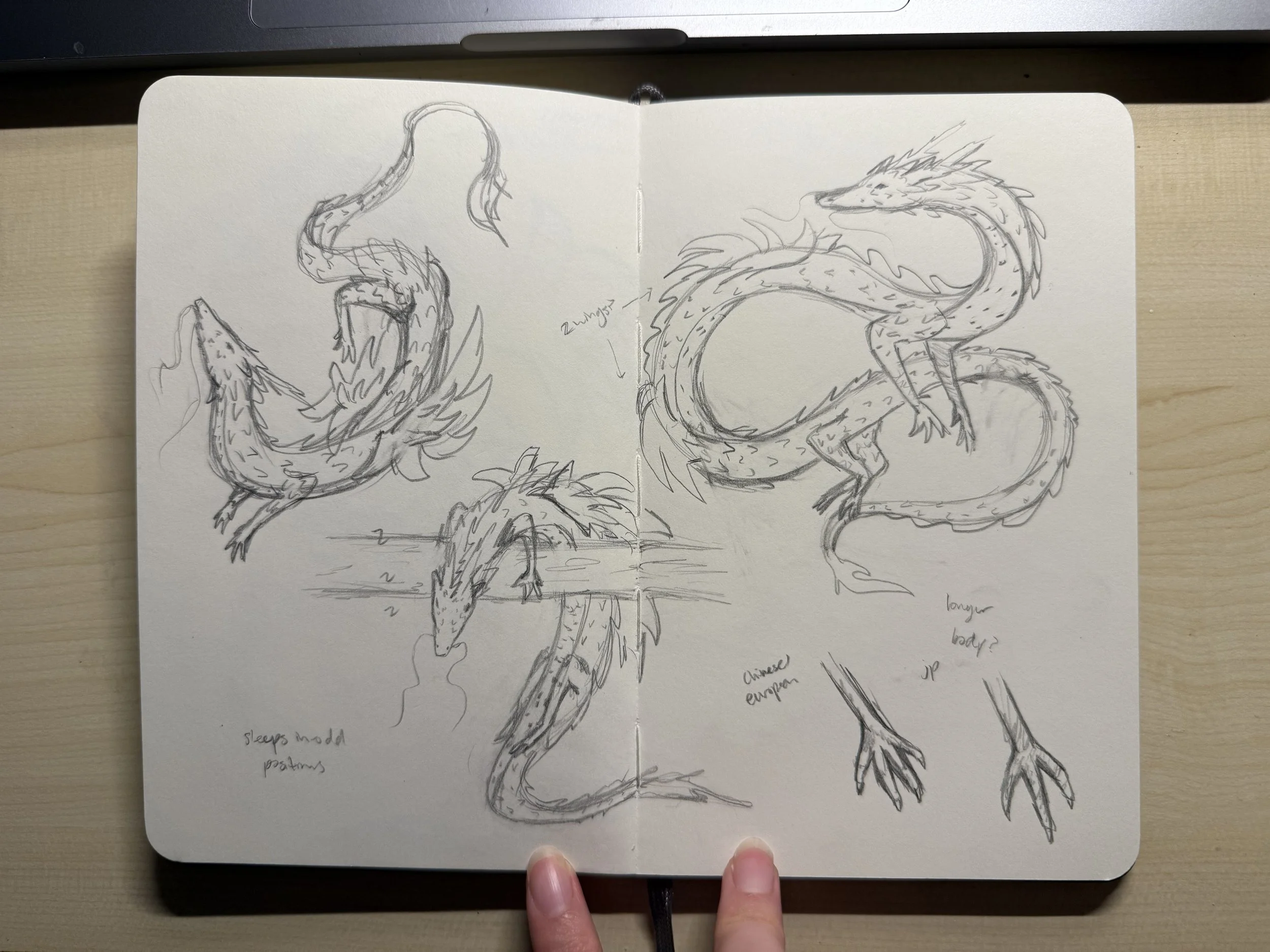 LarissaH_DragonSketch3 copy.jpeg