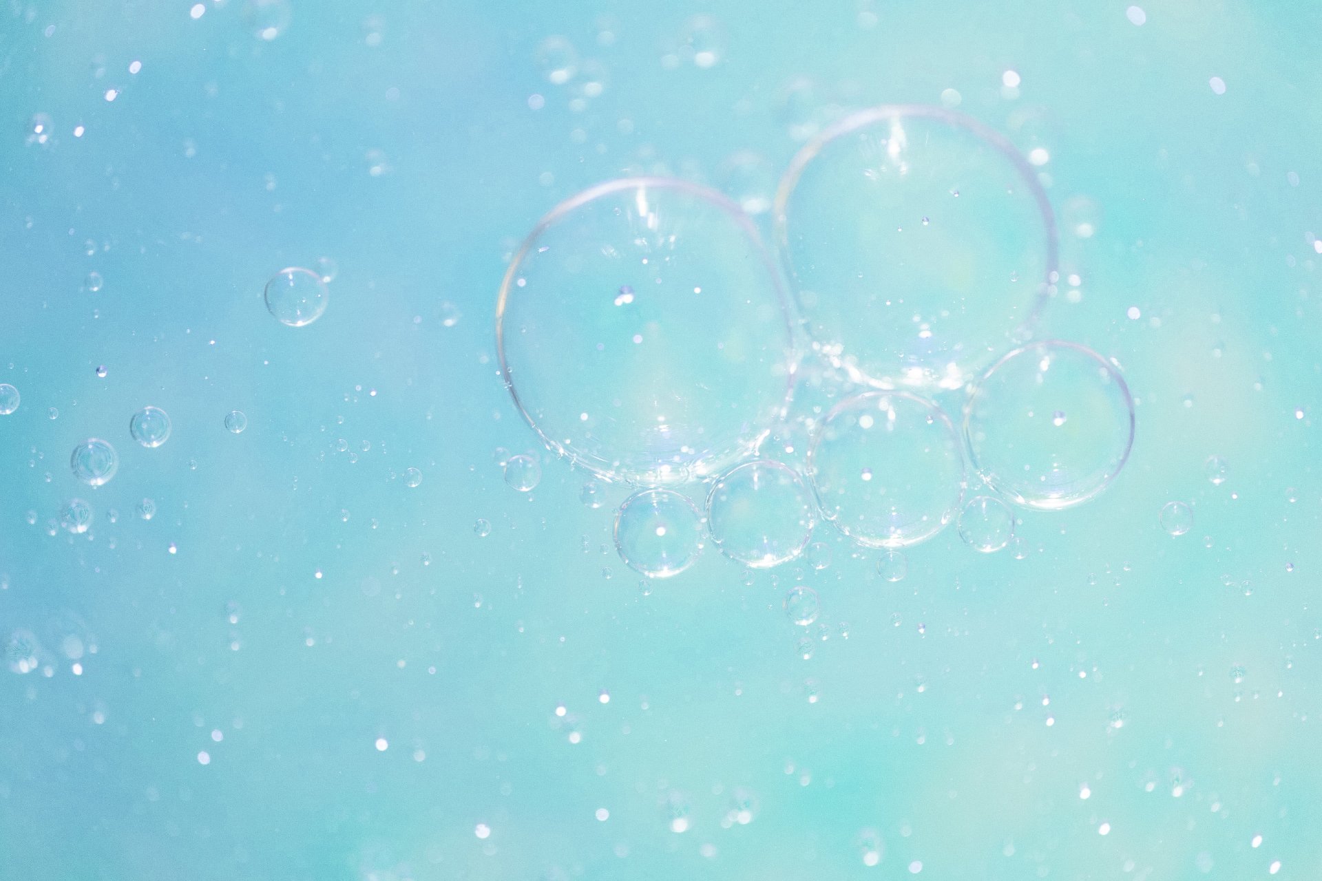 01 - header.jpg