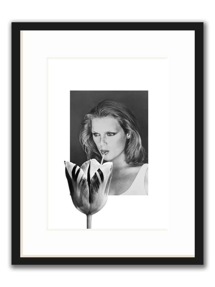 Tulip_Framed.png