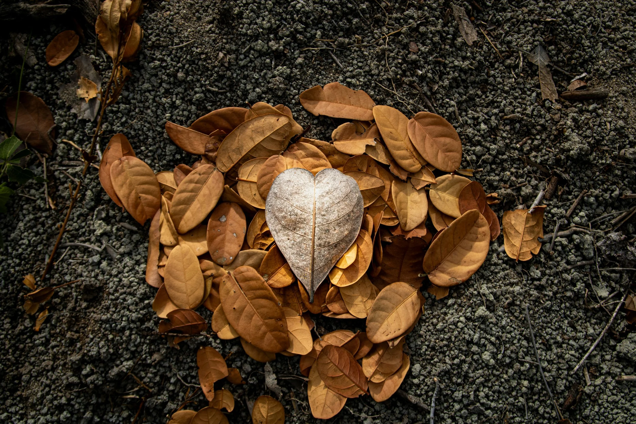 1 x 30 minutes Quick Fix EFT Tapping online session