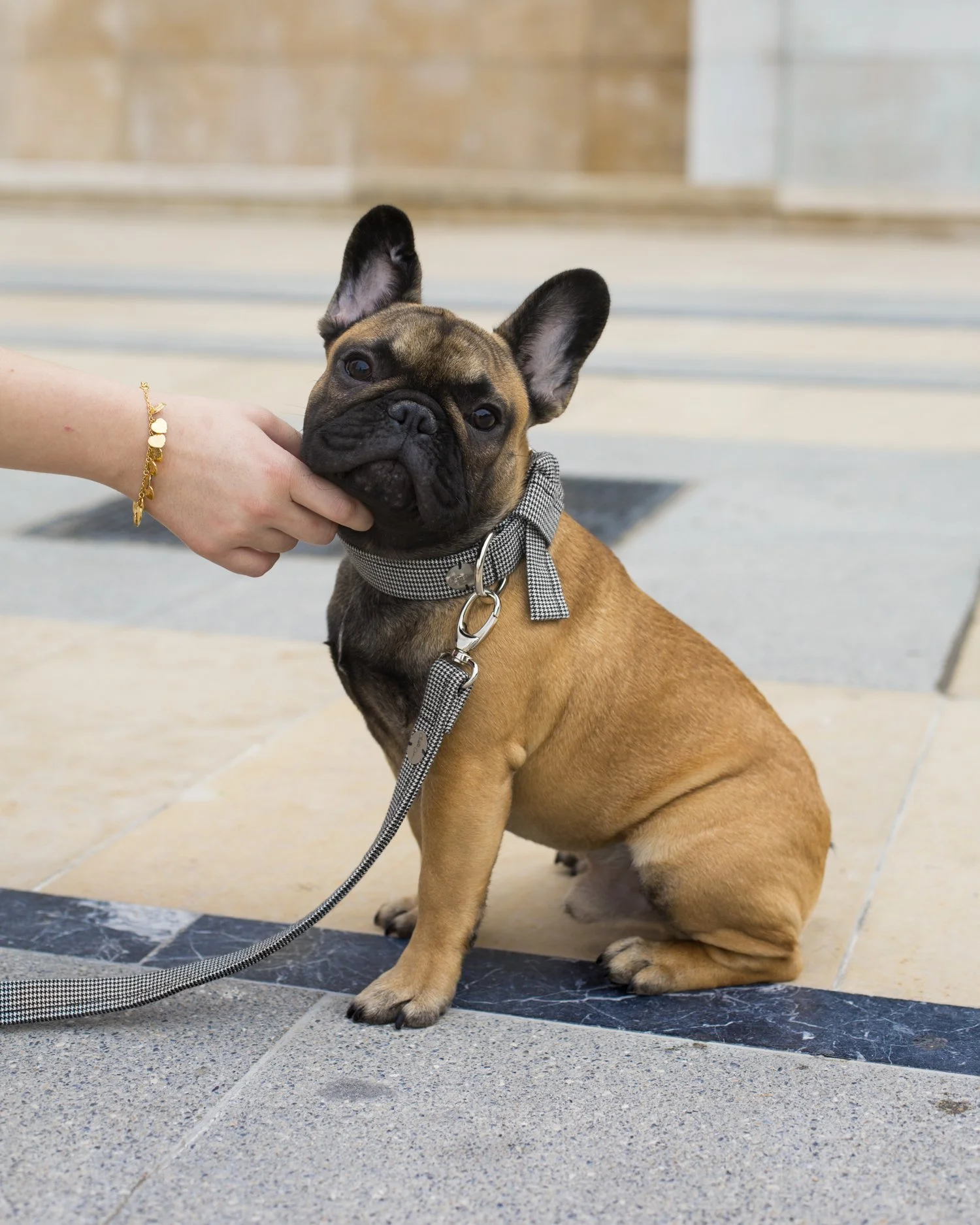 Bulldog Français - Sculpture Pop Art En Résine Satinée - Noir, image size:1500x1875