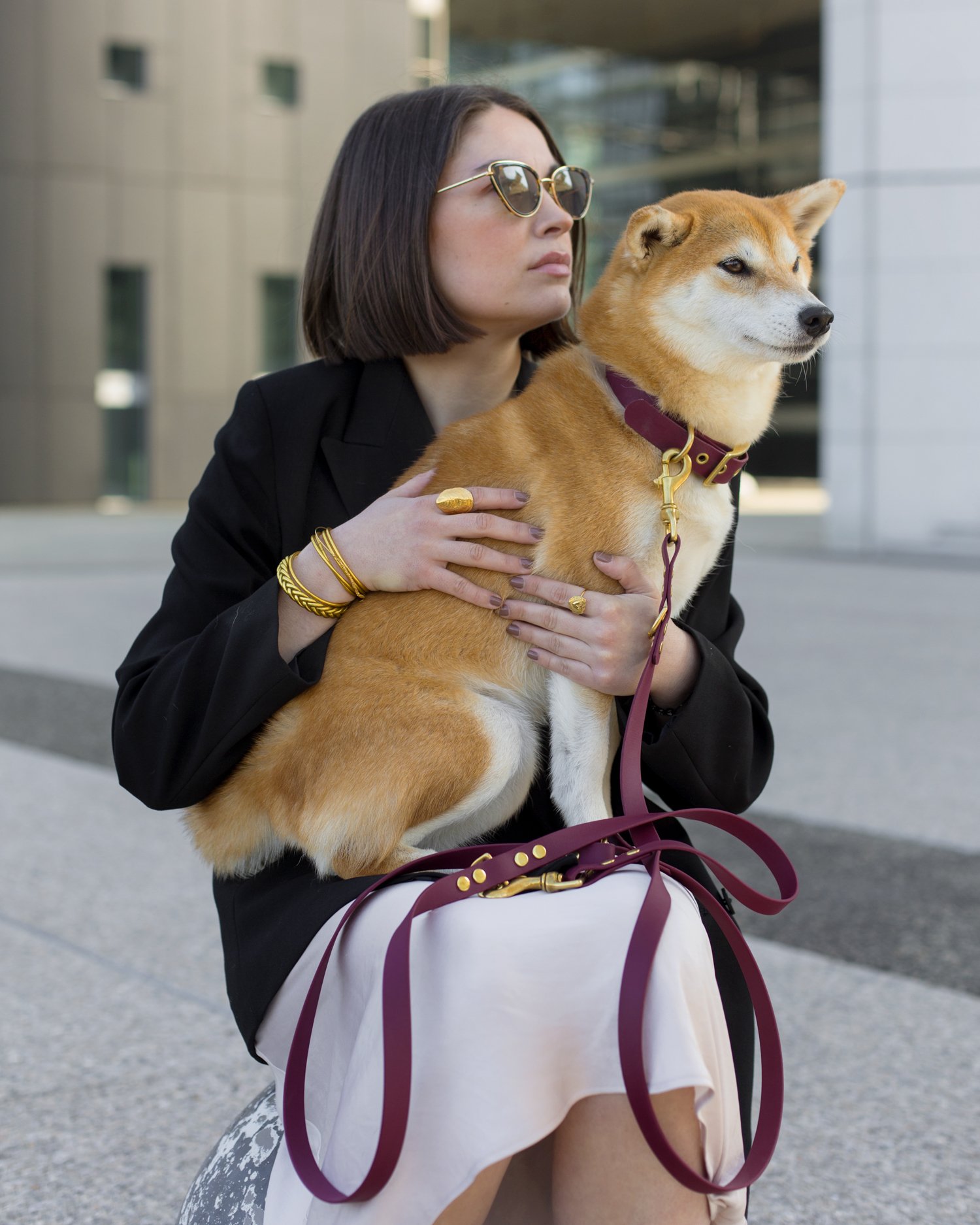Pannello Decorativo Per Cane Shiba Inu Fauve – 30x15 Cm, Resistere Alle Intemperie Per Esterno