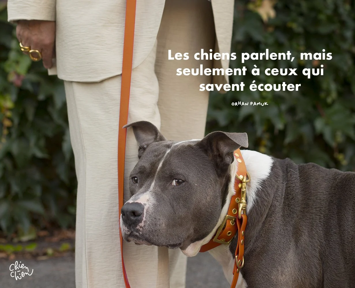 Les meilleures citations sur les chiens — Chien-Chien, image size:1230x1000