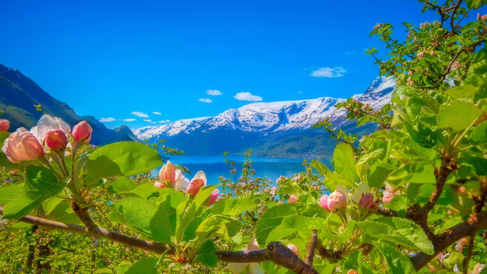Bobilferie i Hardanger med utsikt over fjord og fjell