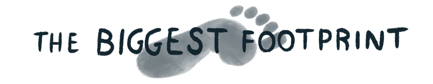 The Biggest Footprint