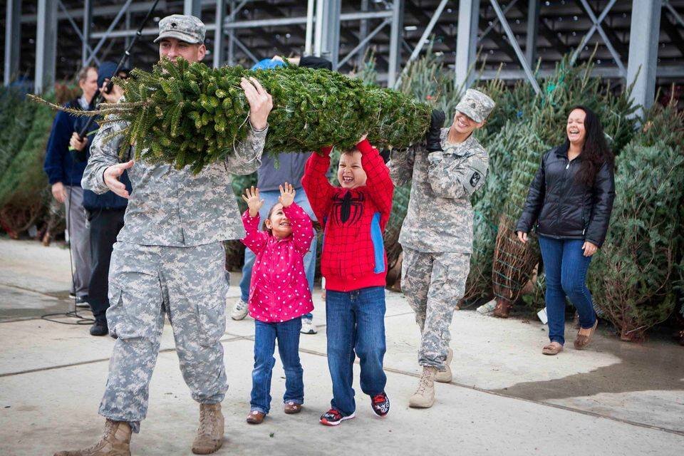 Trees for Troops — Medina Christmas Tree Farms