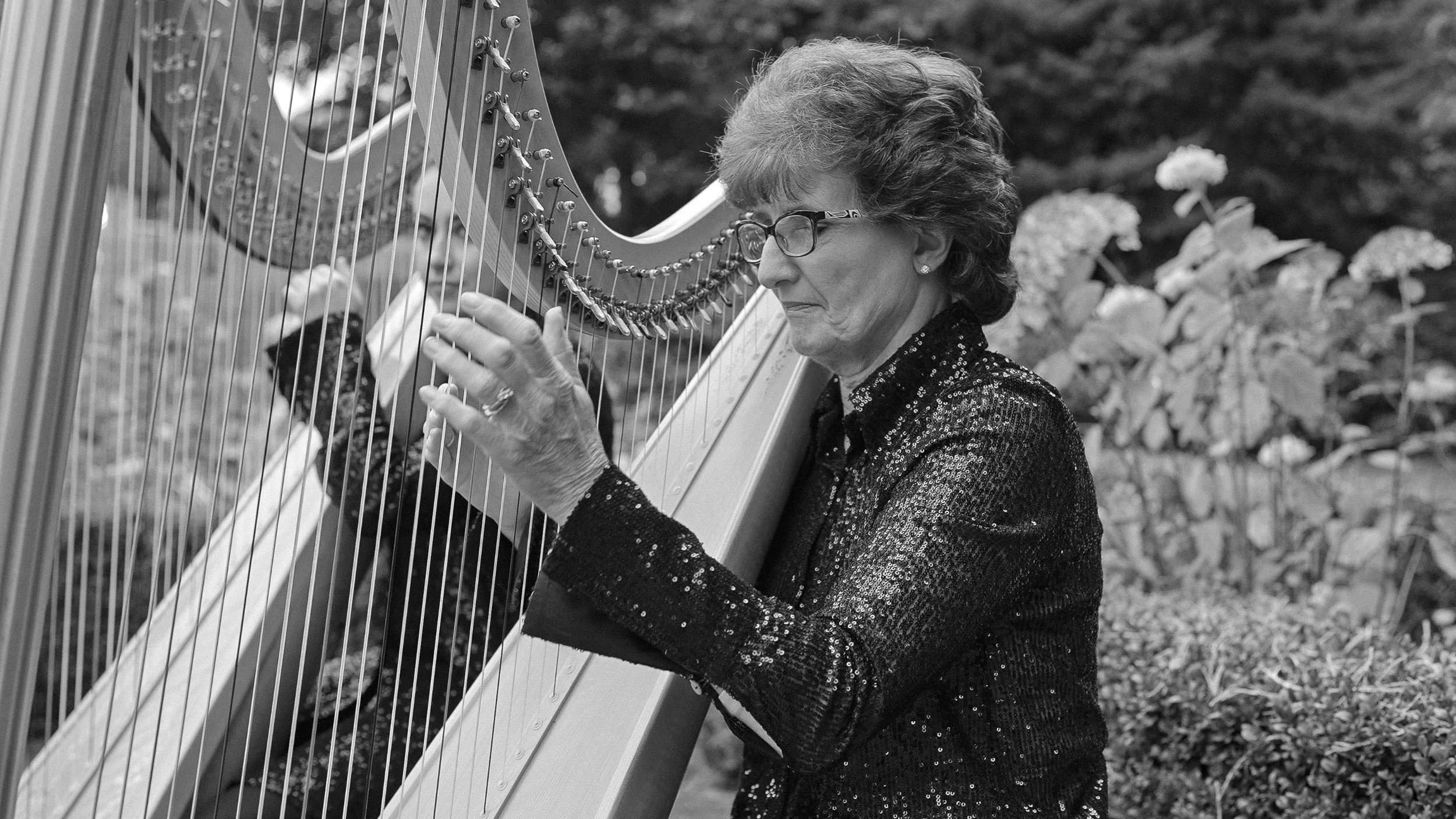 tinakilly-house-wedding-harpist-ceremony.jpg