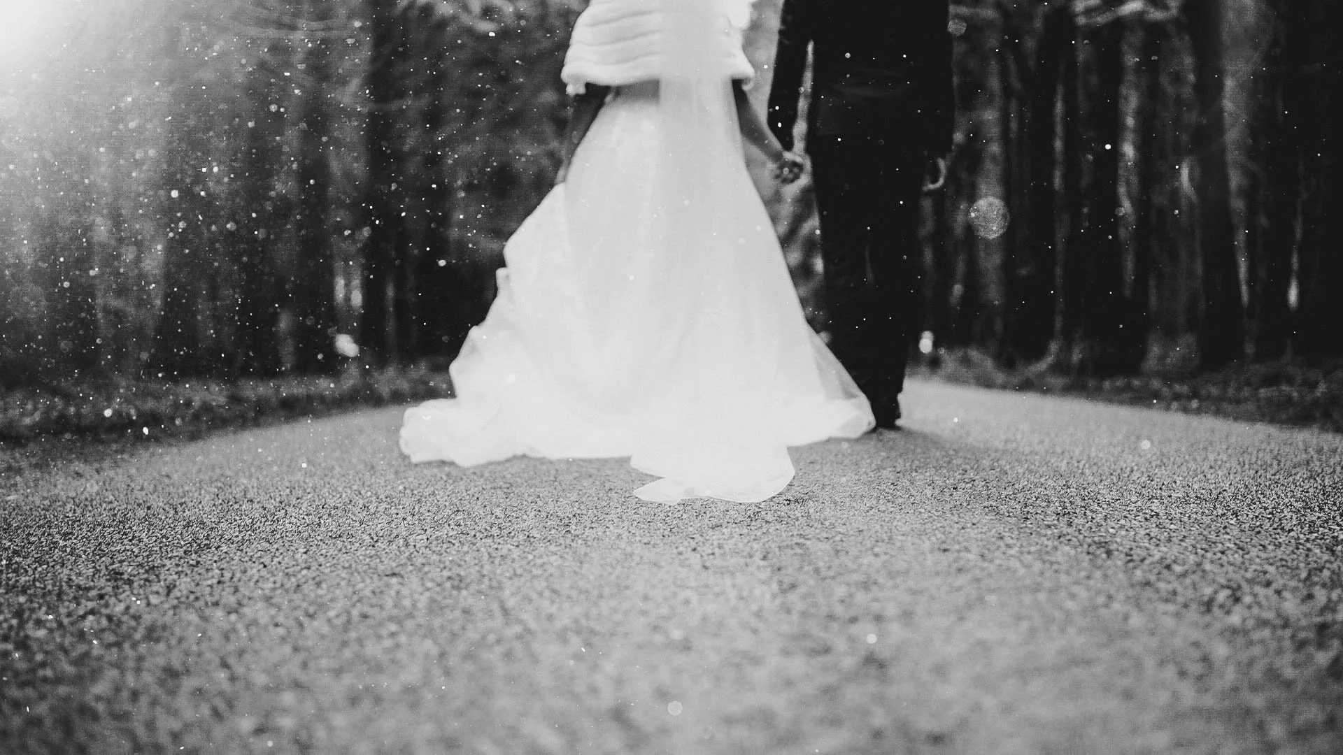Untitled_2.29.1.jpg