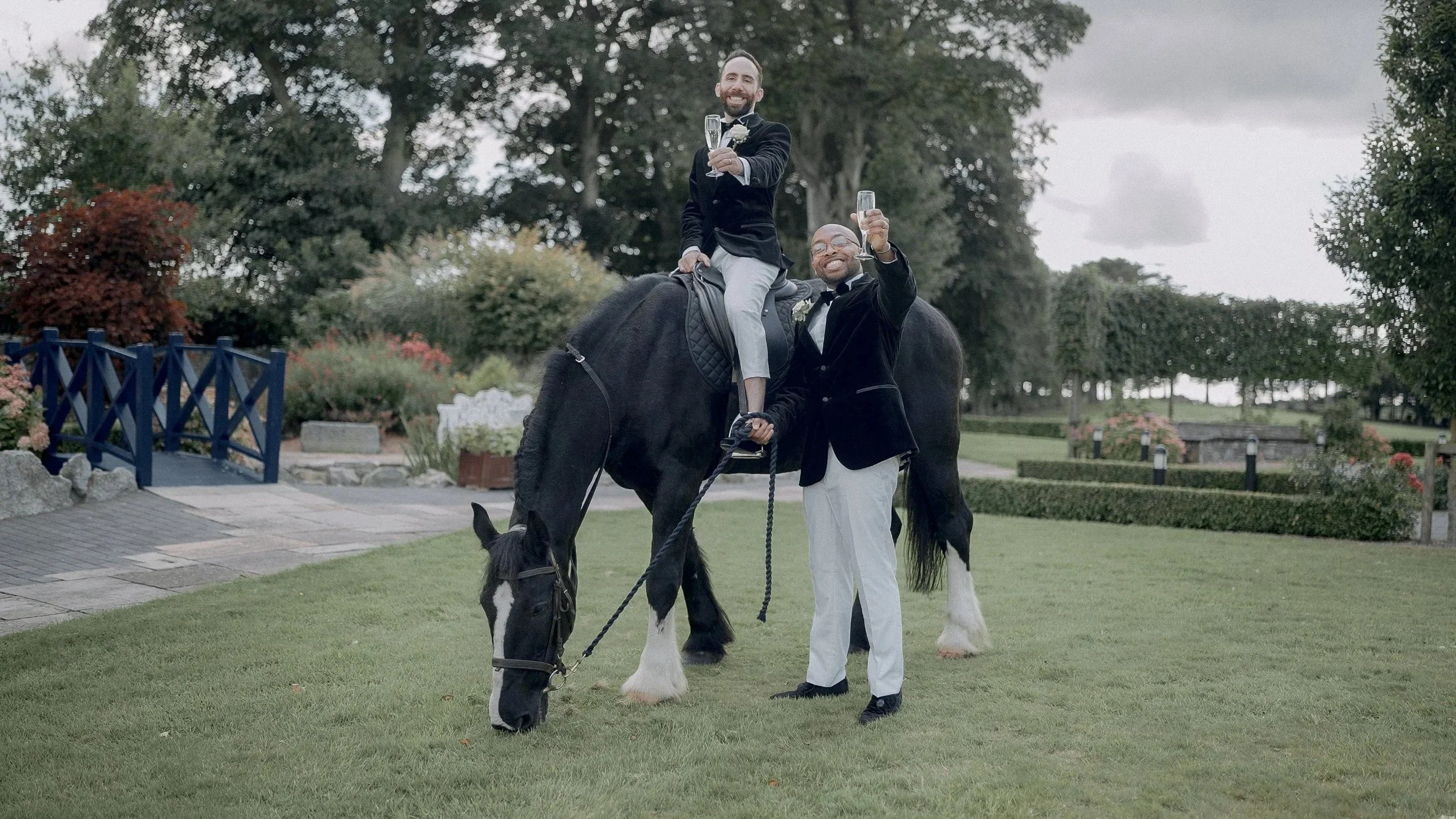 Newlyweds with a black Shire horse on the lawn at Darver Castle, one groom sitting in the saddle