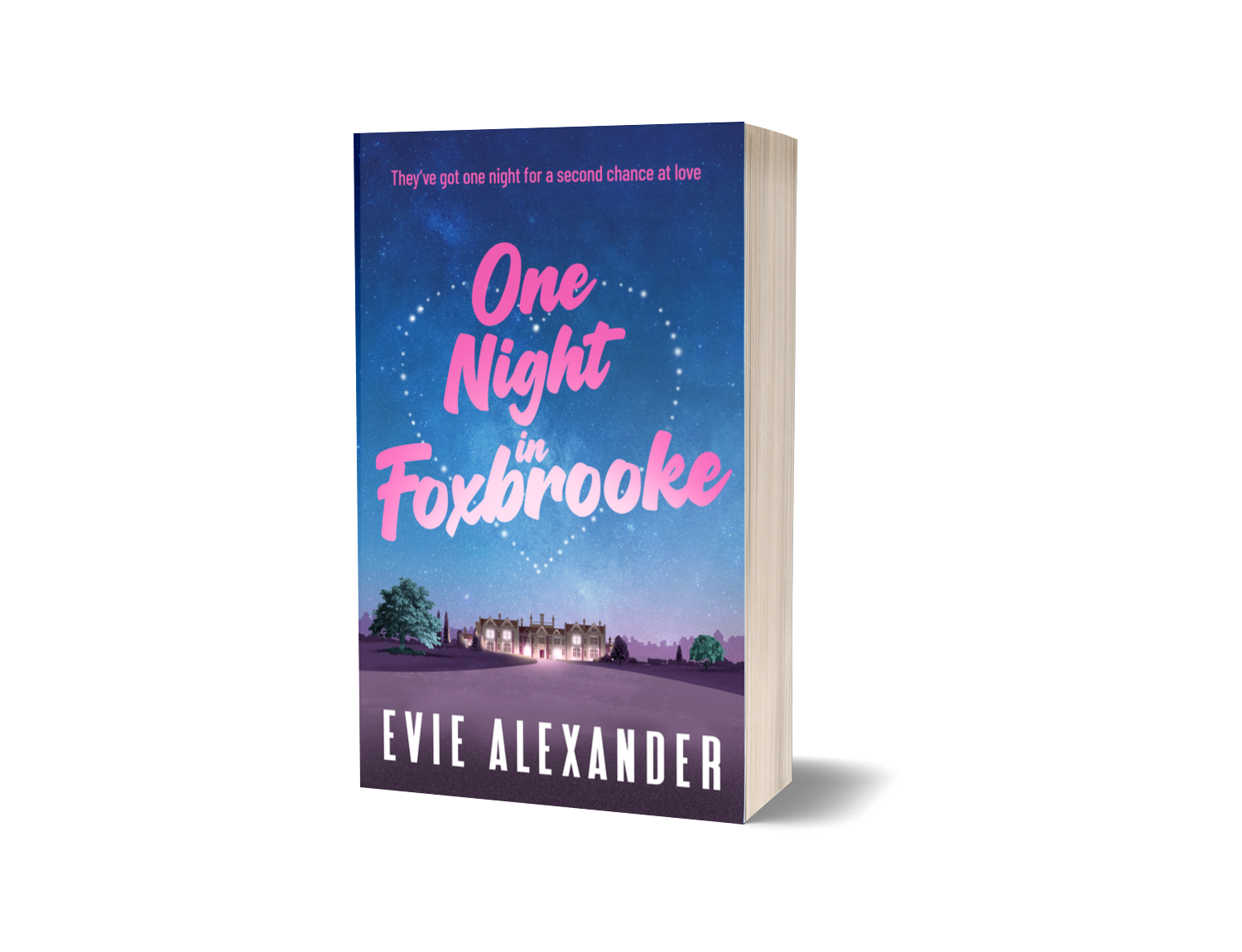 One Night in Foxbrooke