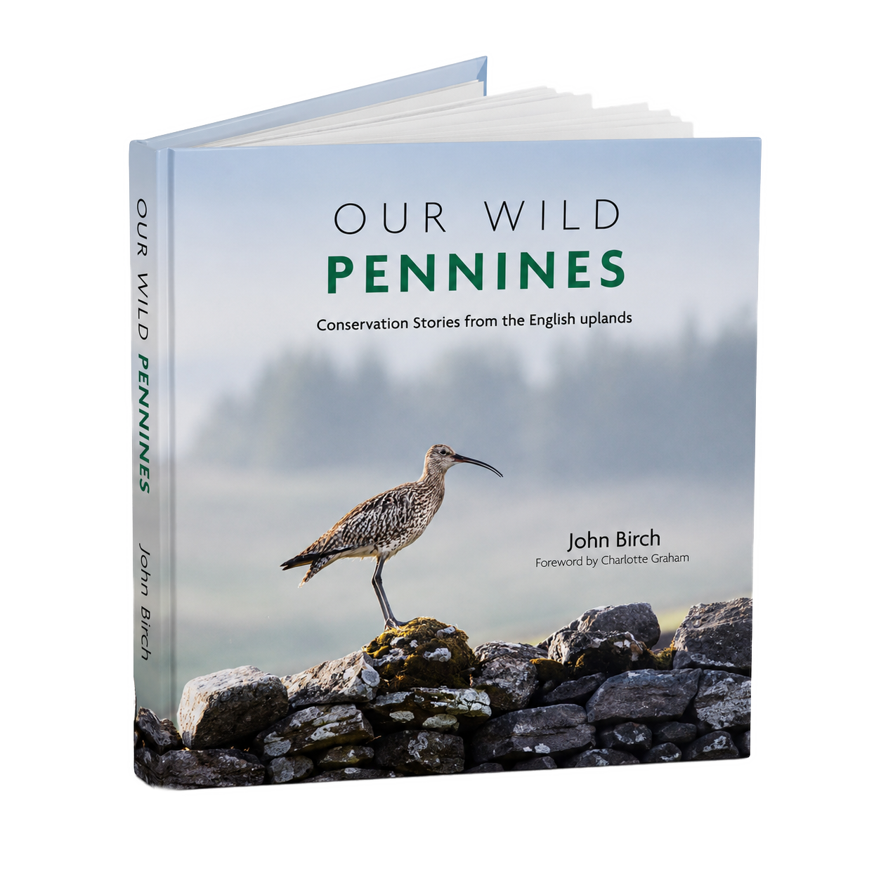 Our Wild Pennines – It’s Finally Happening!