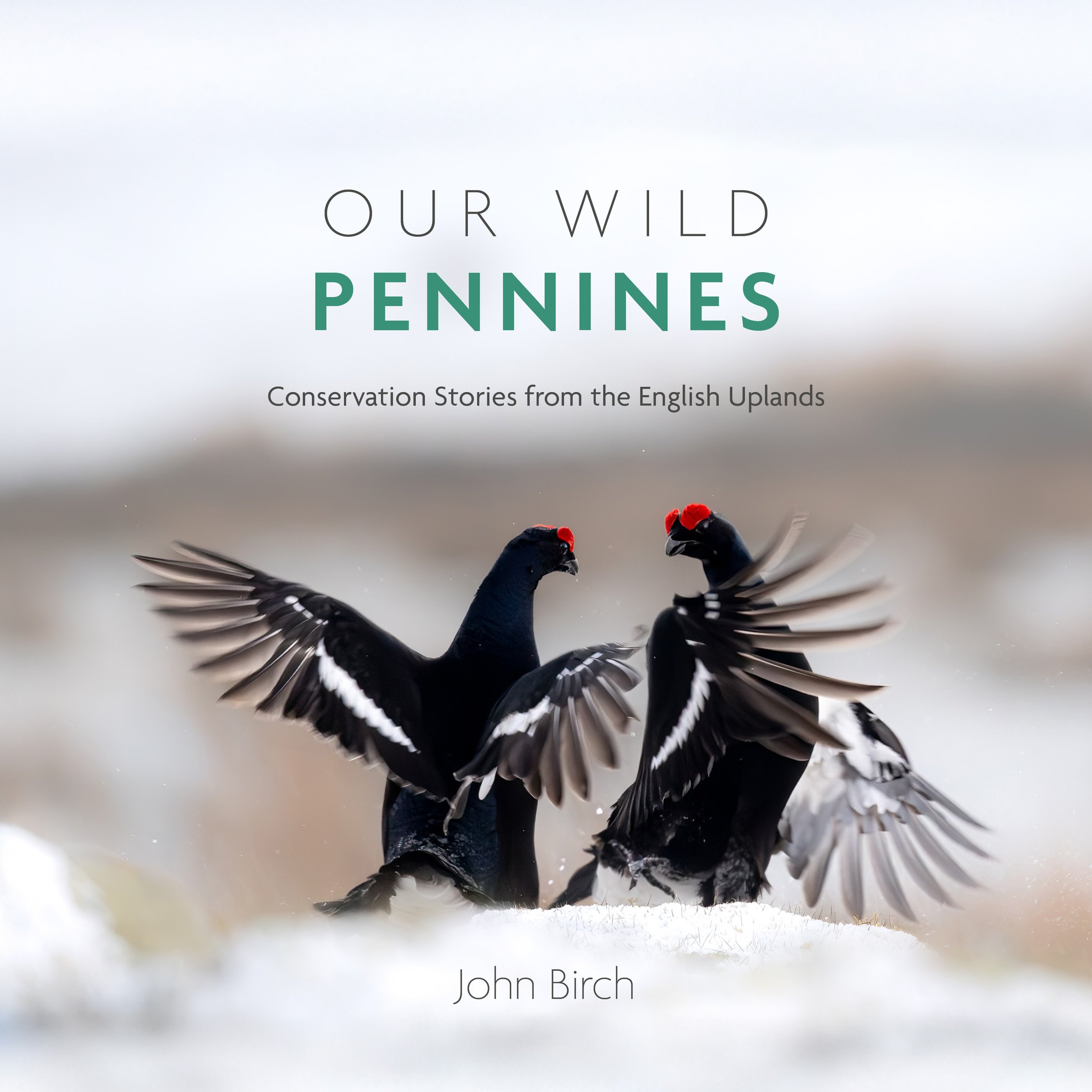 Our Wild Pennines cover front.jpg