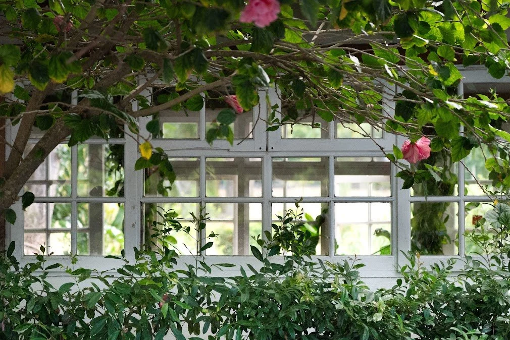gardenshed - Copy.jpg