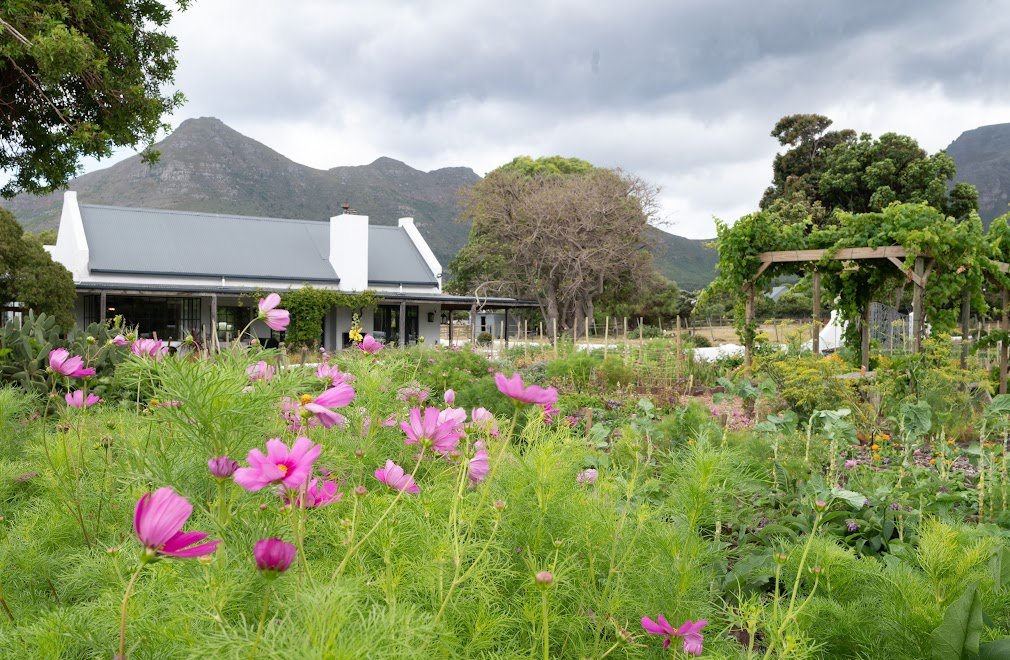 Flowersandgardenviewhouse - Copy.jpg