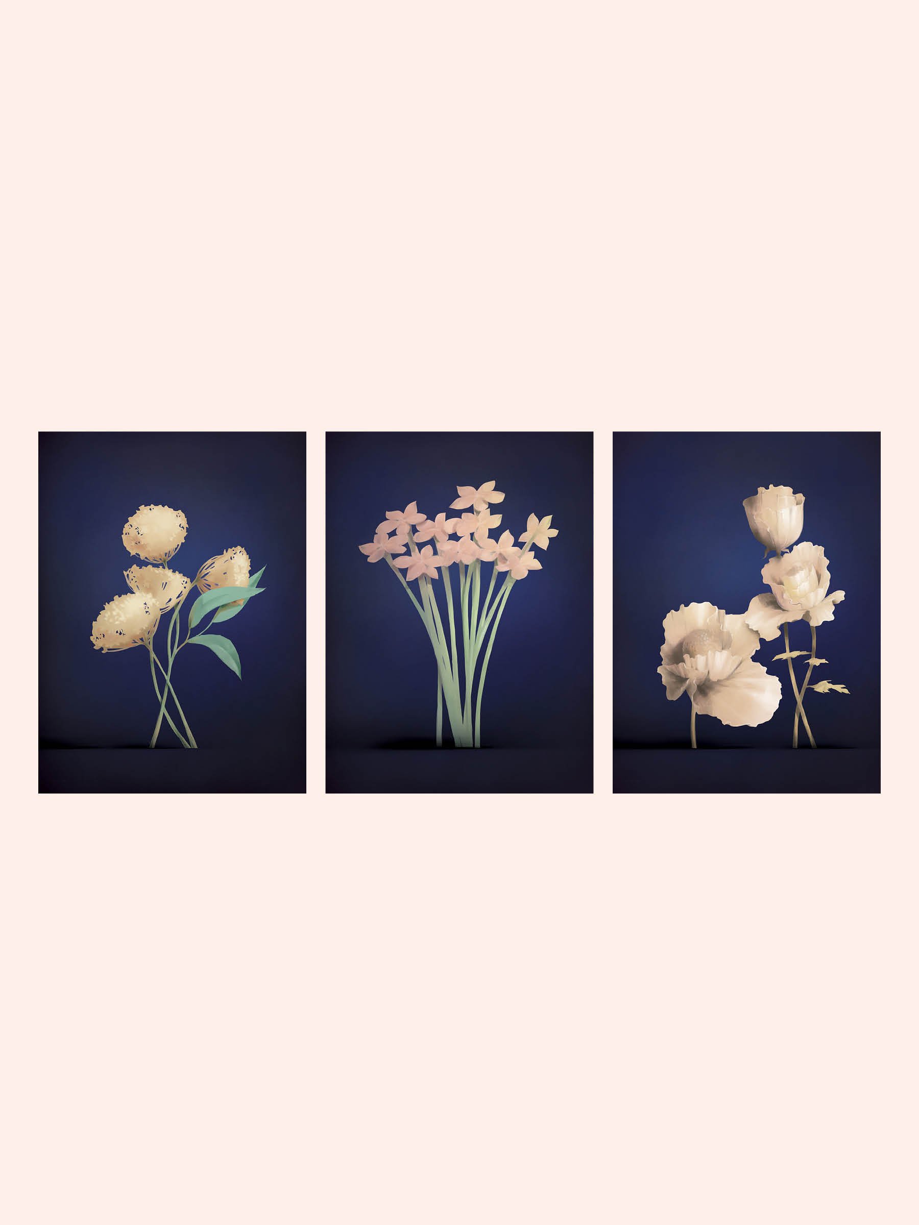 Maria G West Bloom Midnight Blue Online19.jpg