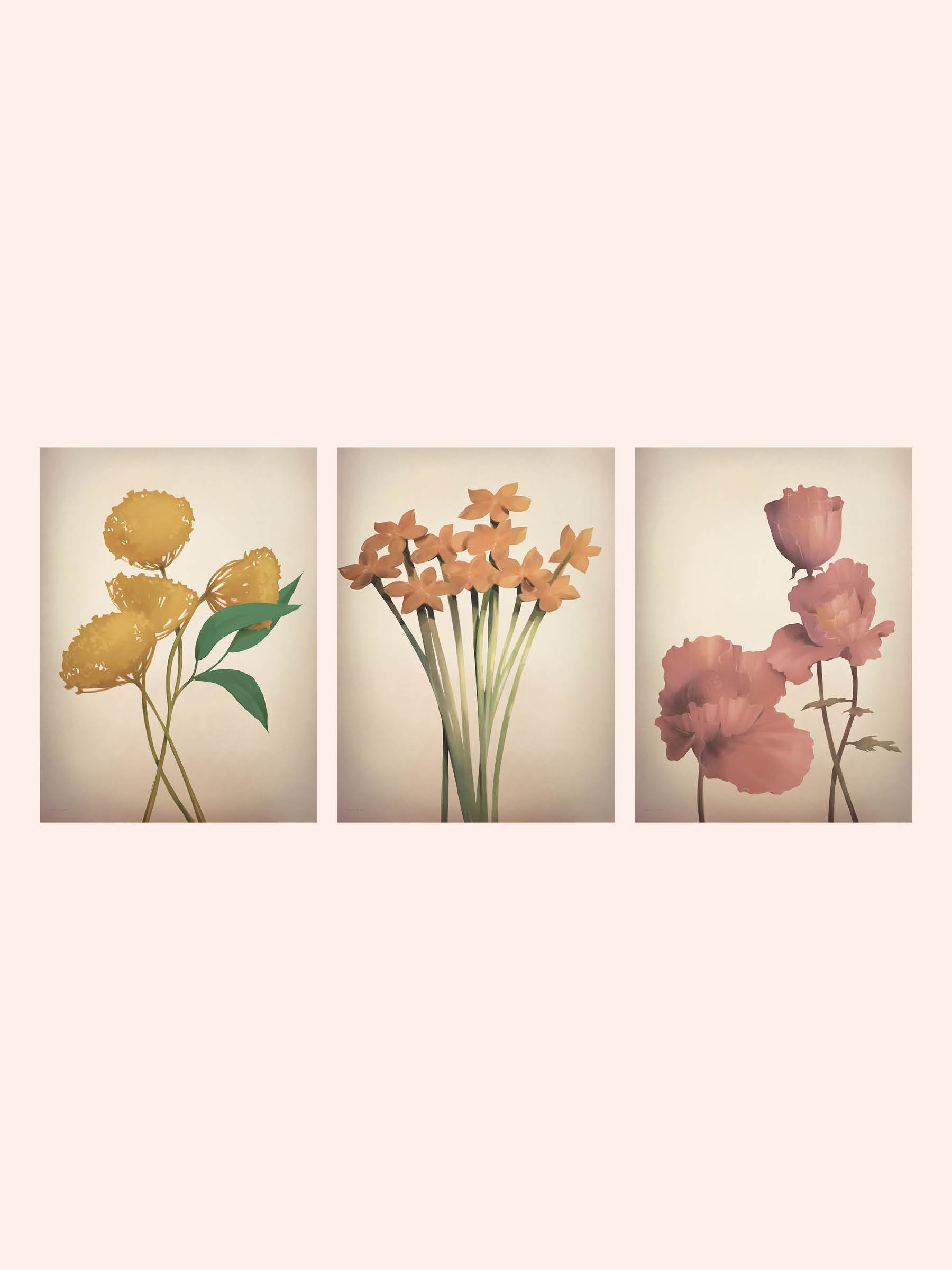 Maria G West Bloom Warm Online19.jpg