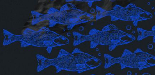 Illuminated blue fish illustrations on a dark background.