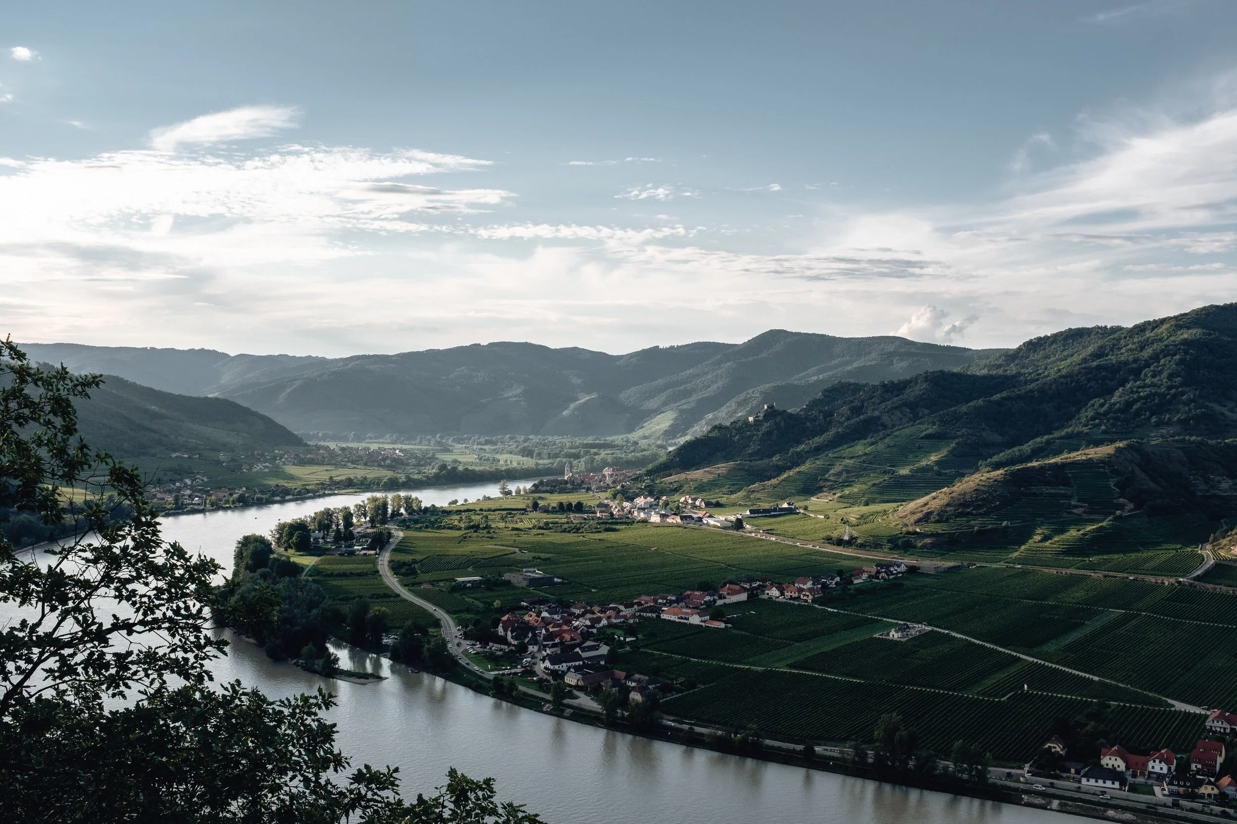 Scenic view of a river winding through green vineyards and small houses, with hills and mountains in the background under a partly cloudy sky.