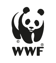 logo (2).png